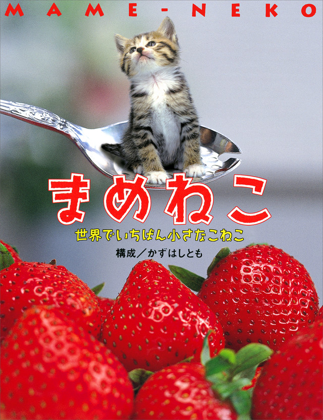 まめねこ 世界でいちばんちいさなこねこ