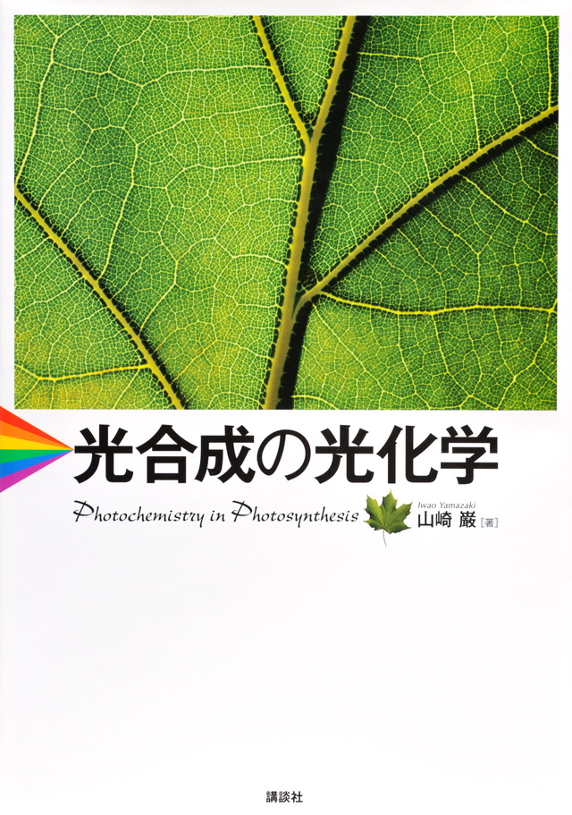 光合成の光化学