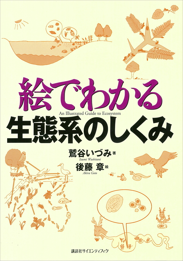 絵でわかる生態系のしくみ