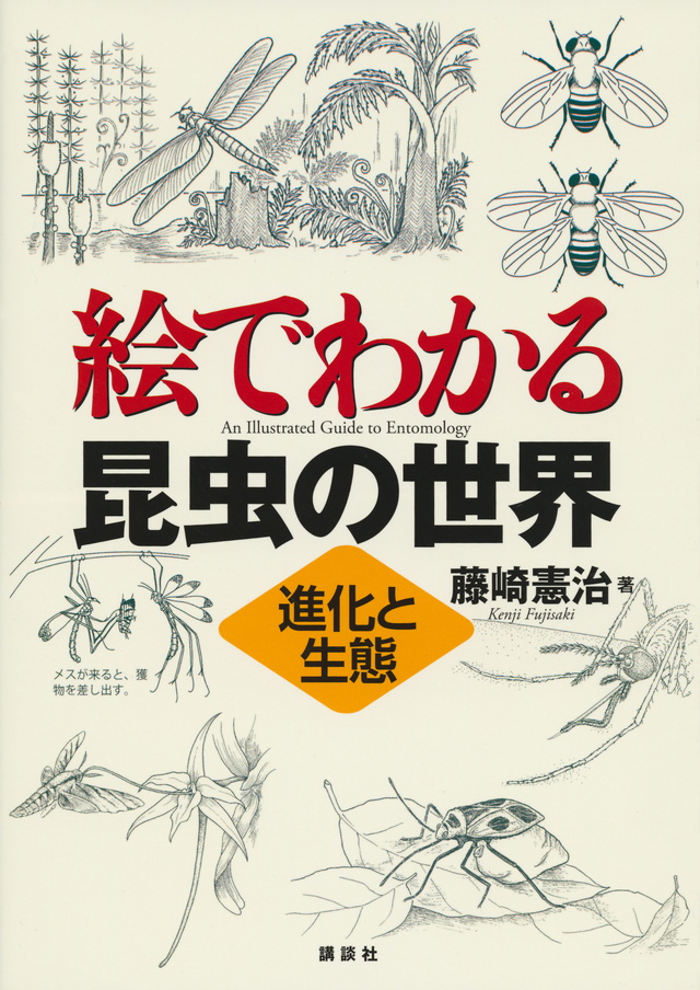 絵でわかる昆虫の世界 進化と生態
