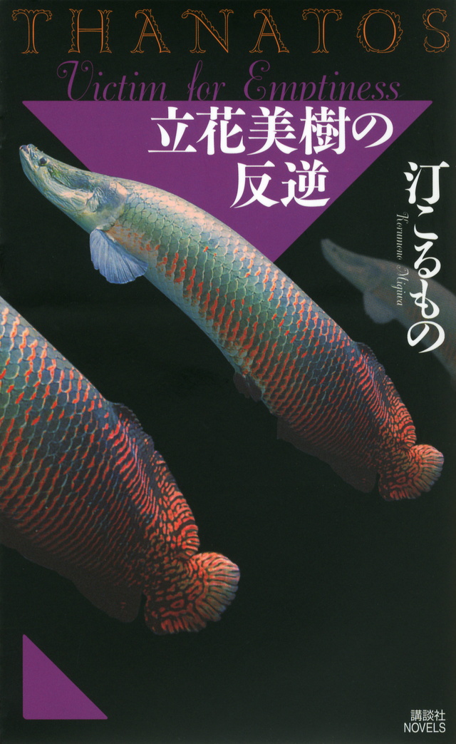 立花美樹の反逆