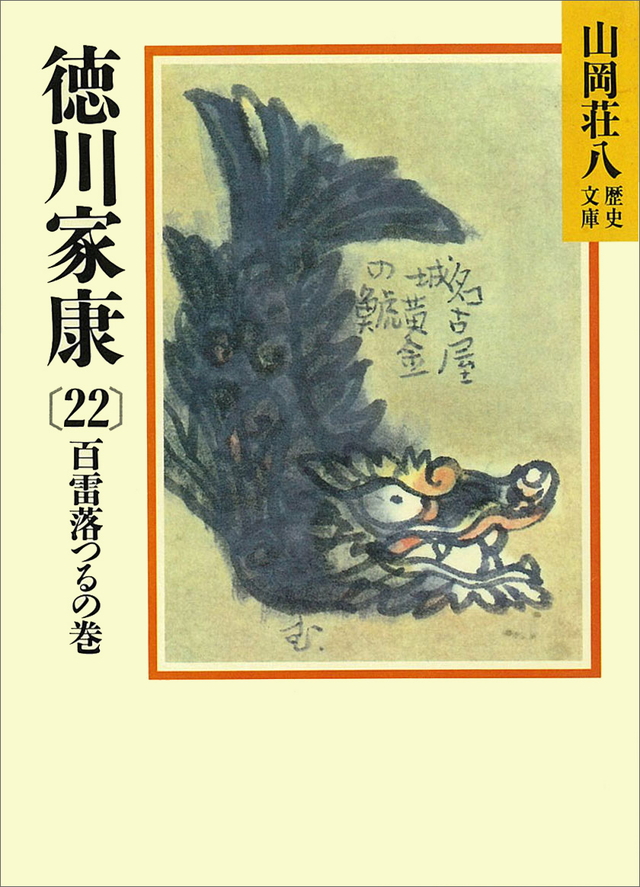 徳川家康(22)