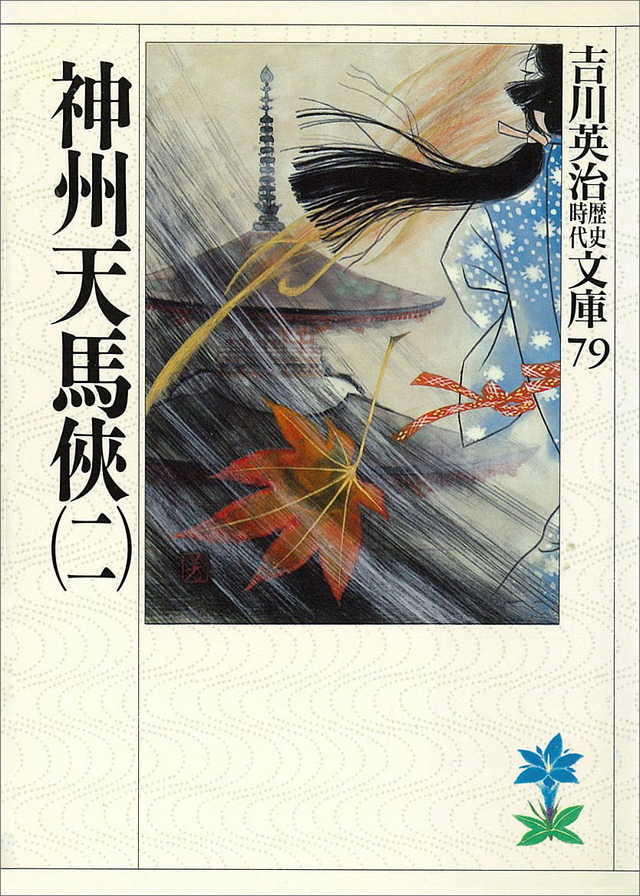 神州天馬侠(二)