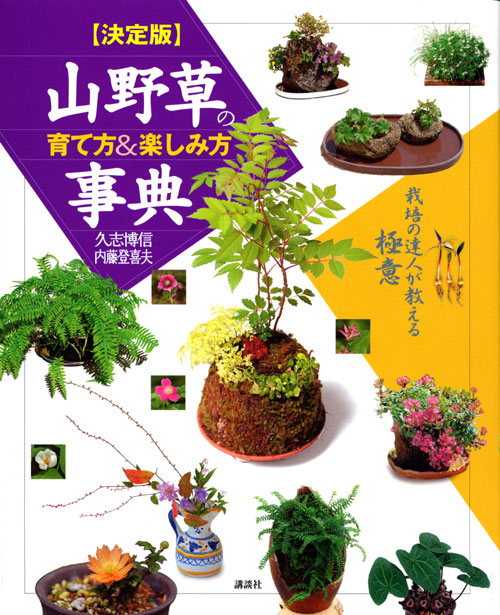 山野草の育て方&楽しみ方事典