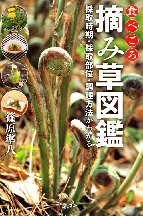 食べごろ 摘み草図鑑 採取時期・採取部位・調理方法がわかる