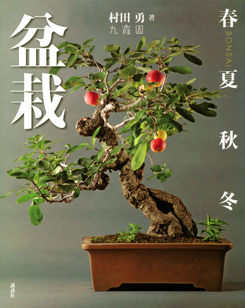 盆栽 春夏秋冬