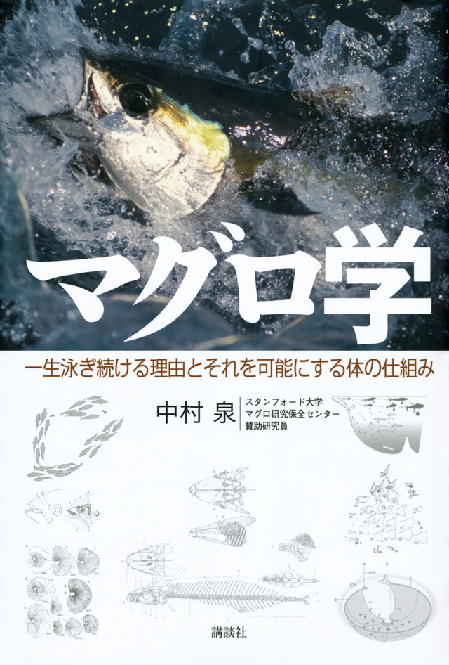 マグロ学