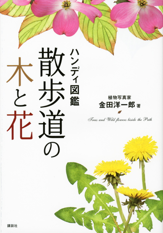 ハンディ図鑑 散歩道の木と花
