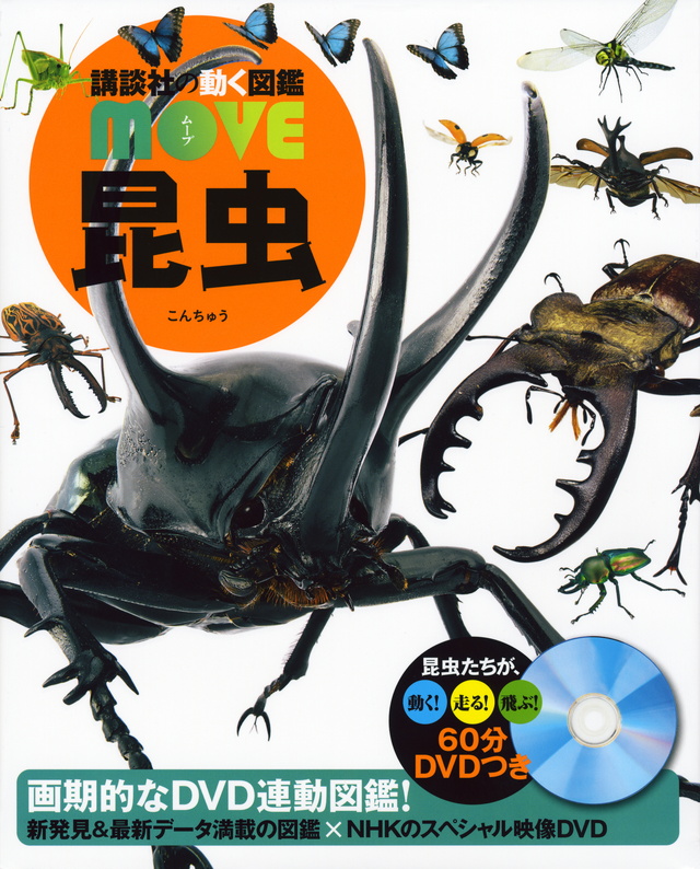 MOVE 昆虫