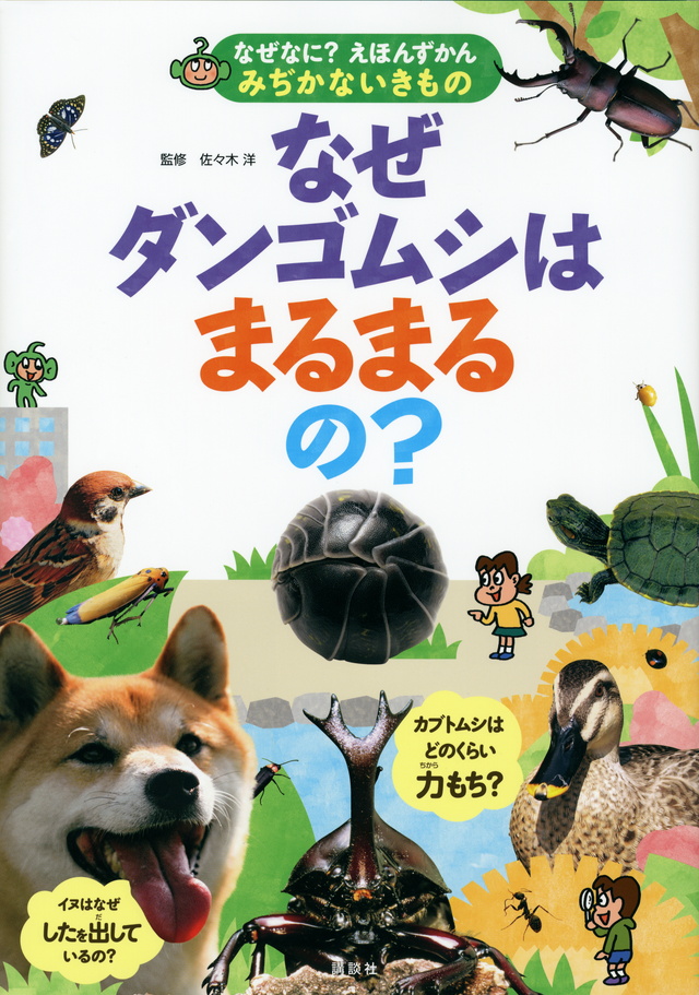 みぢかないきもの なぜダンゴムシはまるまるの?