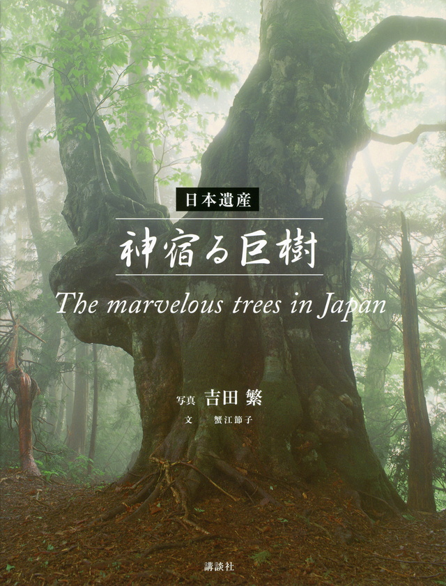 日本遺産 神宿る巨樹