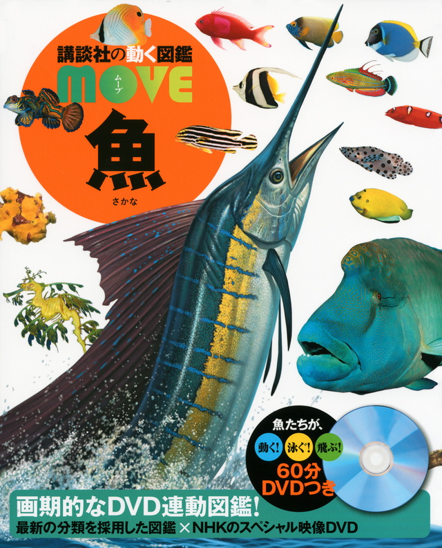MOVE 魚