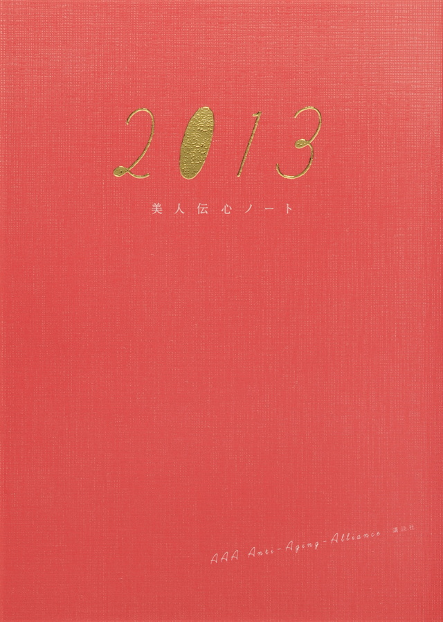 美人伝心ノート2013