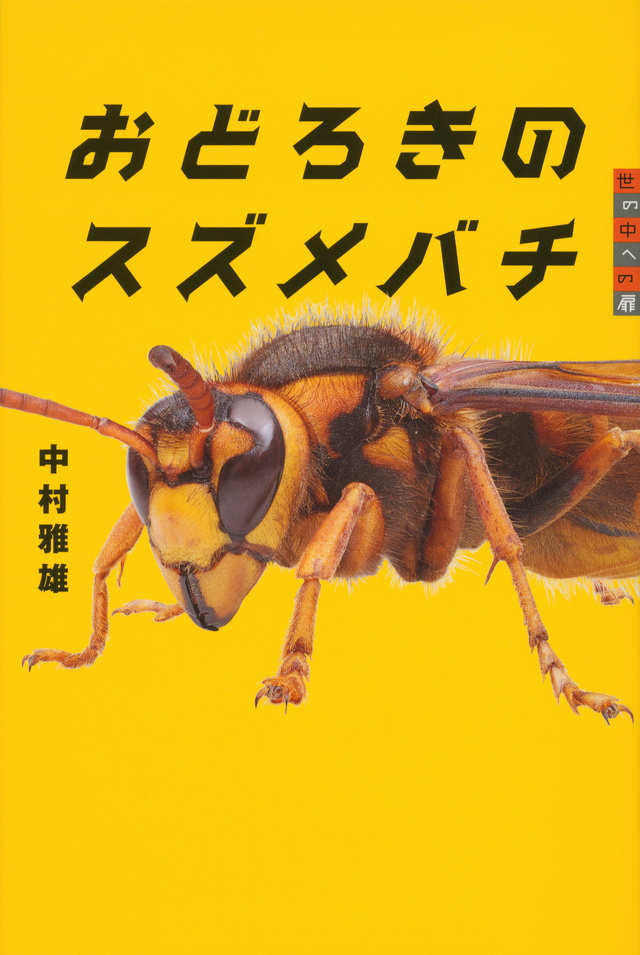 おどろきのスズメバチ