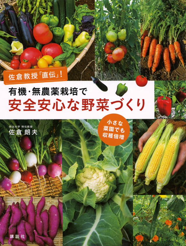 有機・無農薬栽培で安全安心な野菜づくり 佐倉教授「直伝」! 小さな菜園でも収穫倍増