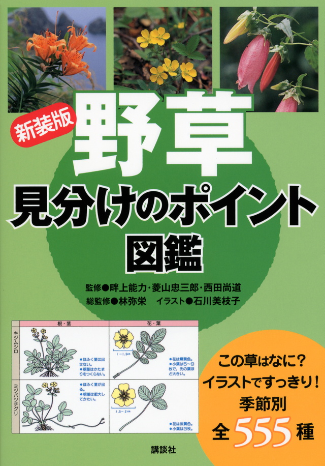新装版 野草 見分けのポイント図鑑