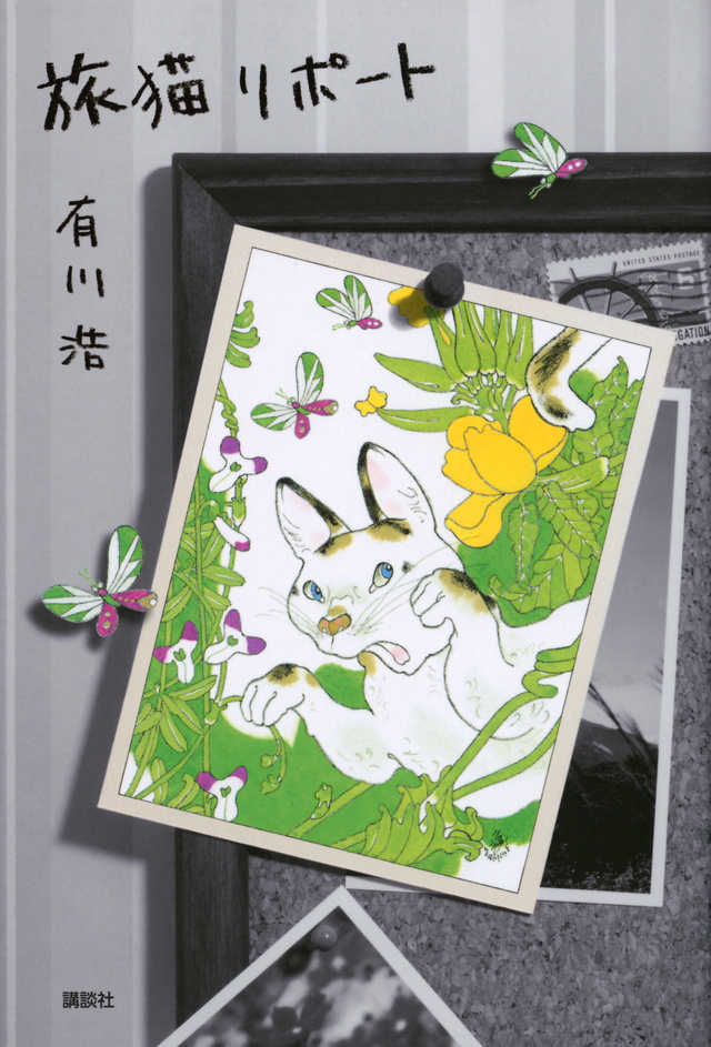 旅猫リポート