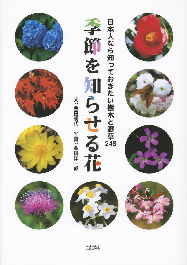 日本人なら知っておきたい樹木と野草248 季節を知らせる花