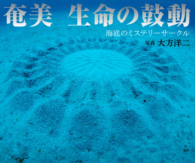 奄美 生命の鼓動