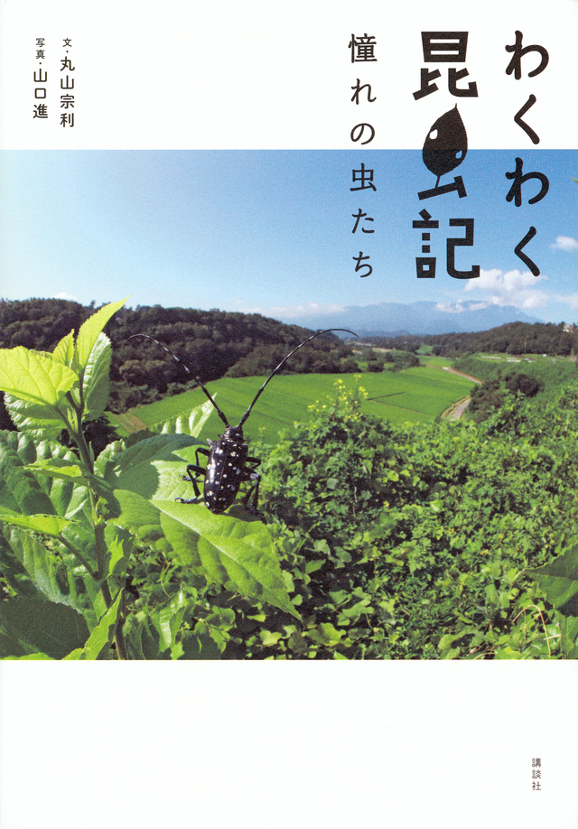わくわく昆虫記 憧れの虫たち