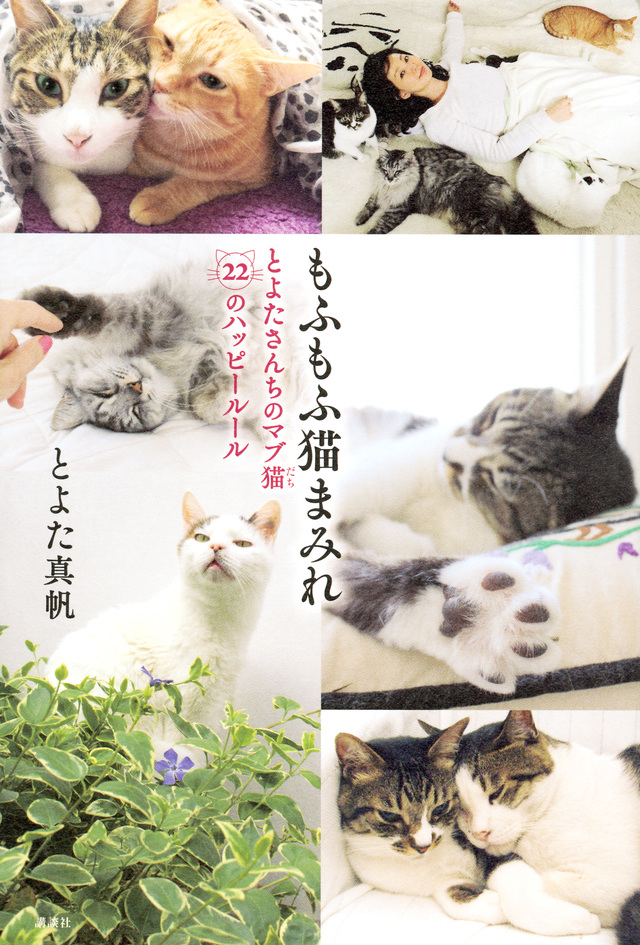 もふもふ猫まみれ とよたさんちのマブ猫 22のハッピールール