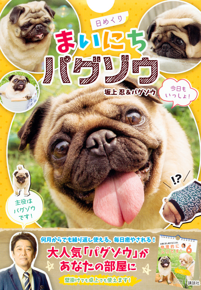 日めくり まいにちパグゾウ
