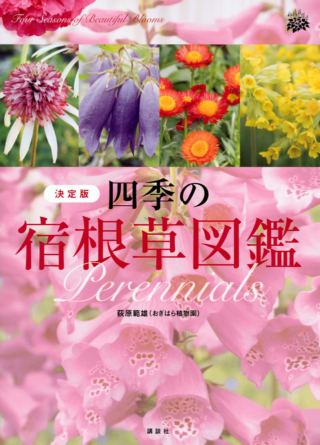 四季の宿根草図鑑