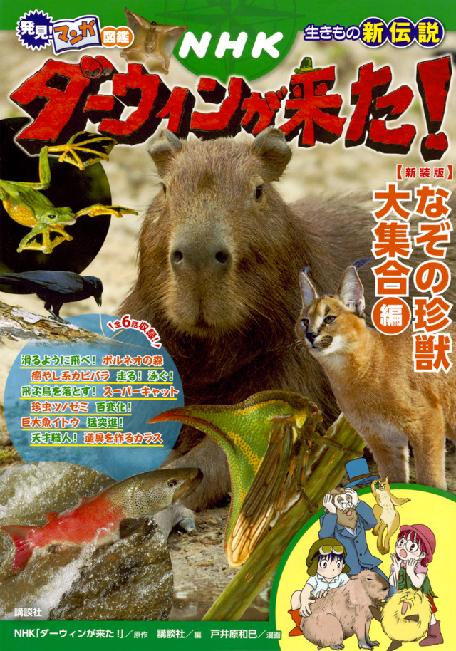 発見! マンガ図鑑 NHKダーウィンが来た! 新装版 なぞの珍獣大集合編