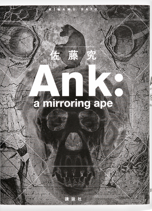 Ank: a mirroring ape