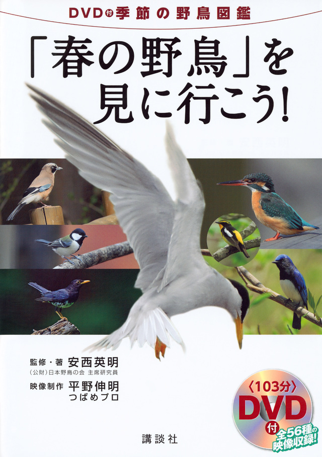 DVD付季節の野鳥図鑑「春の野鳥」を見に行こう!