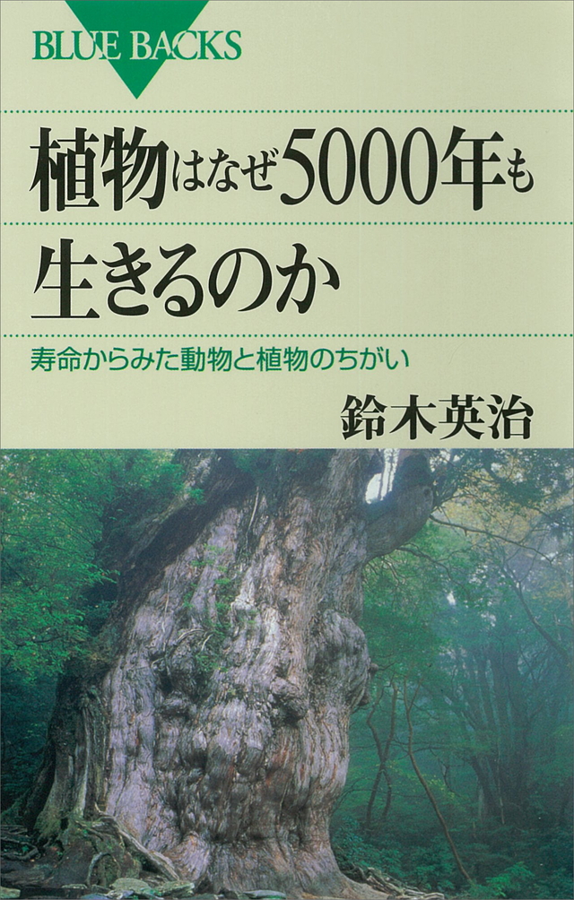 植物はなぜ5000年も生きるのか
