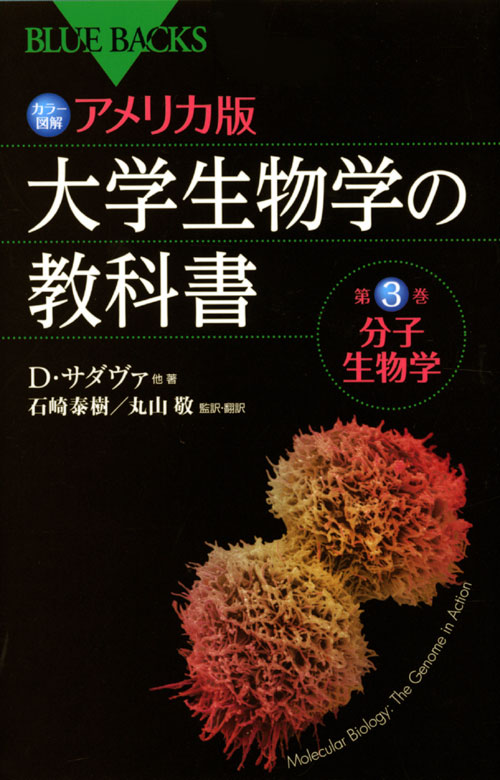カラー図解 アメリカ版 大学生物学の教科書 第3巻 分子生物学