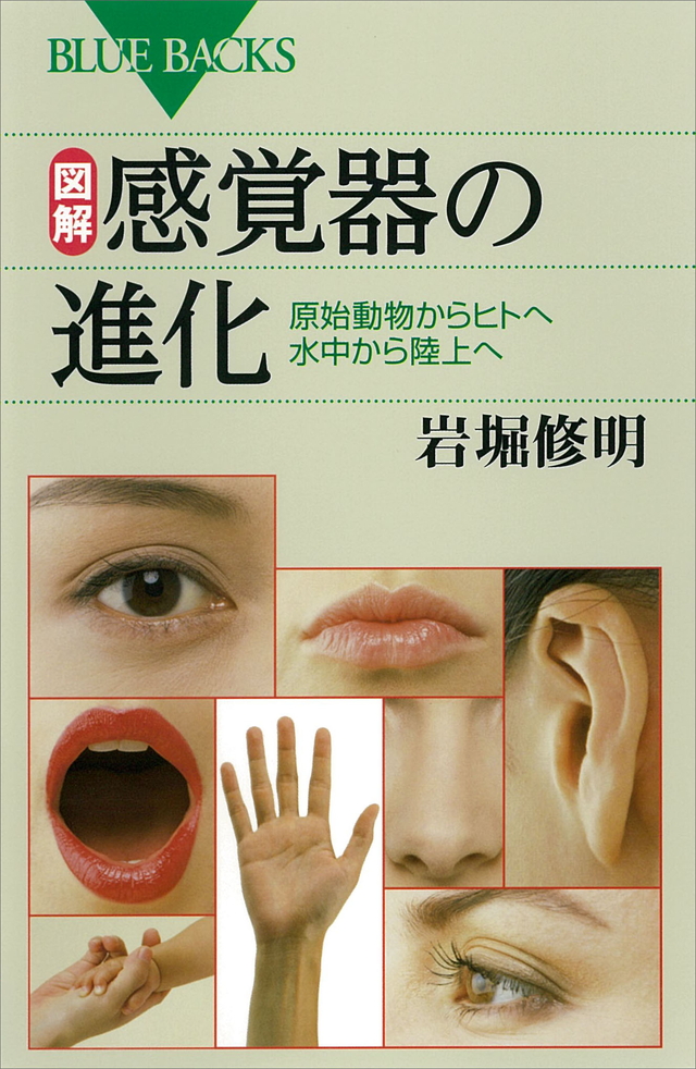図解・感覚器の進化