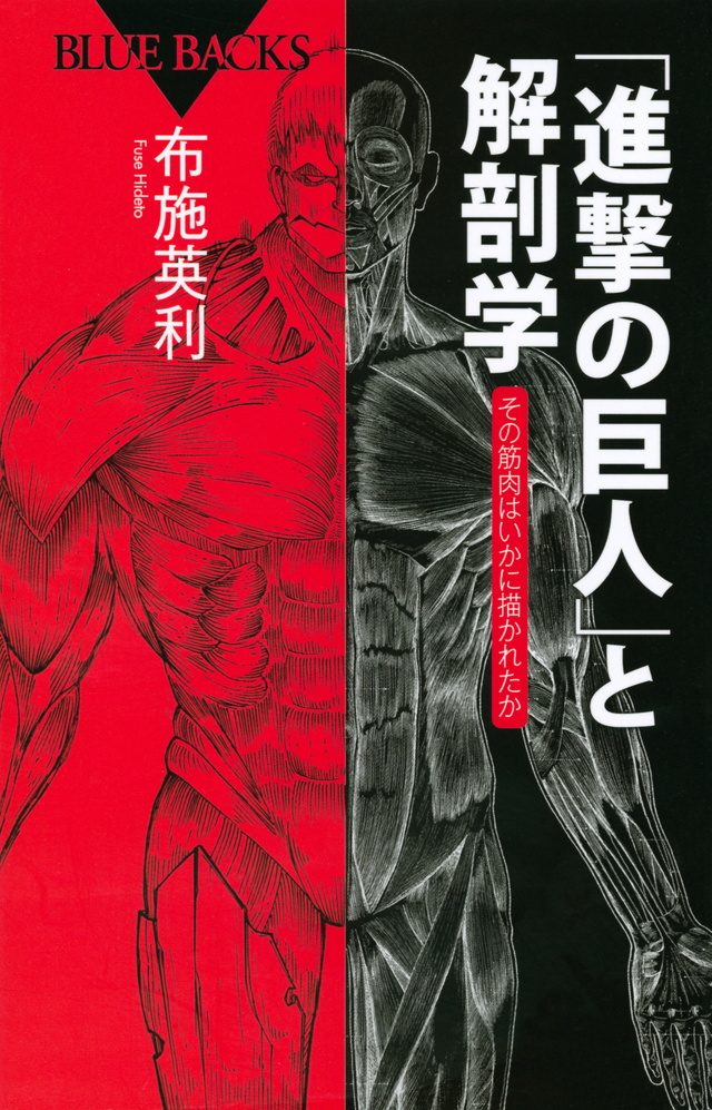 「進撃の巨人」と解剖学 その筋肉はいかに描かれたか