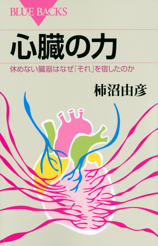 心臓の力 休めない臓器はなぜ「それ」を宿したのか