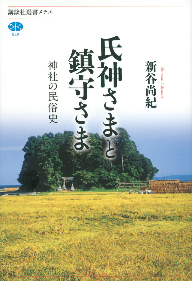 氏神さまと鎮守さま 神社の民俗史