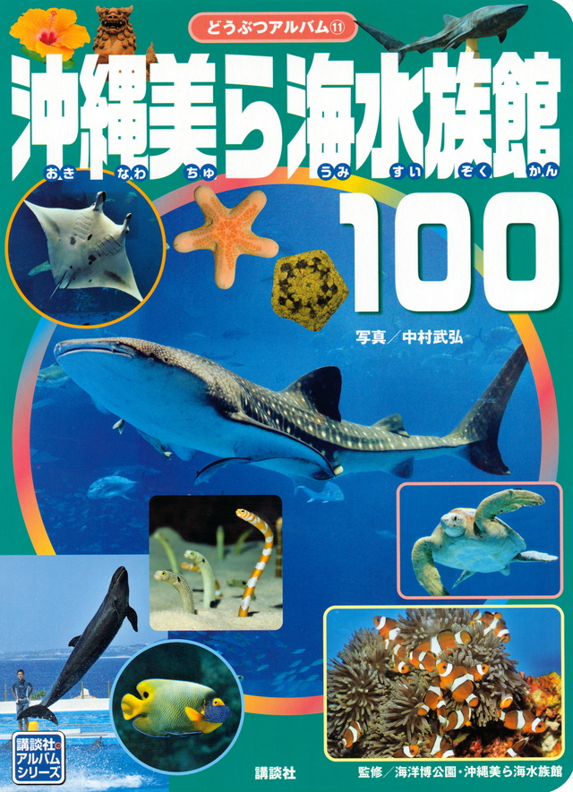 美ら海水族館100