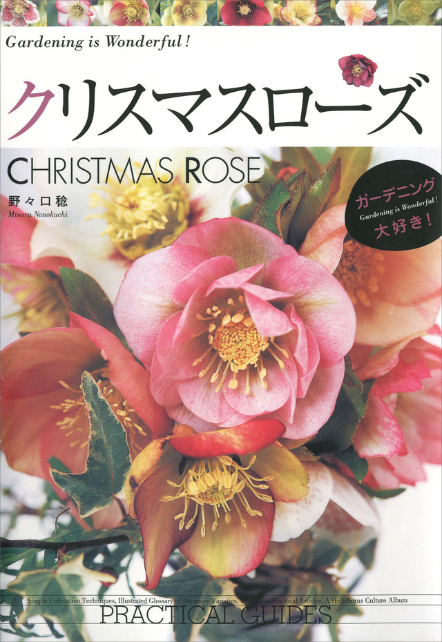 クリスマスローズ