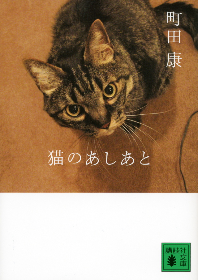 猫のあしあと