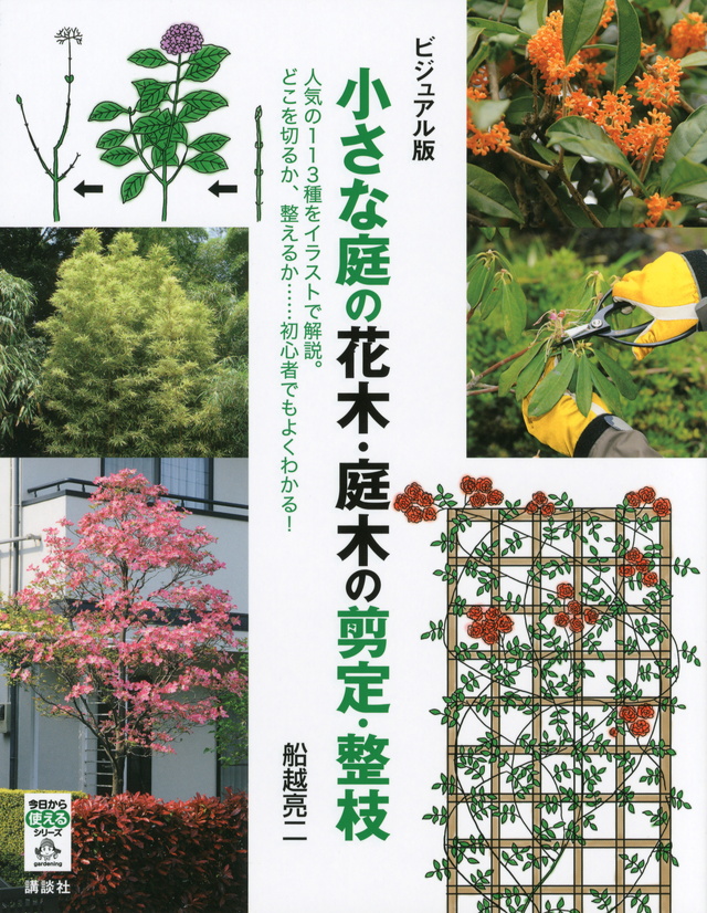ビジュアル版 小さな庭の花木・庭木の剪定・整枝