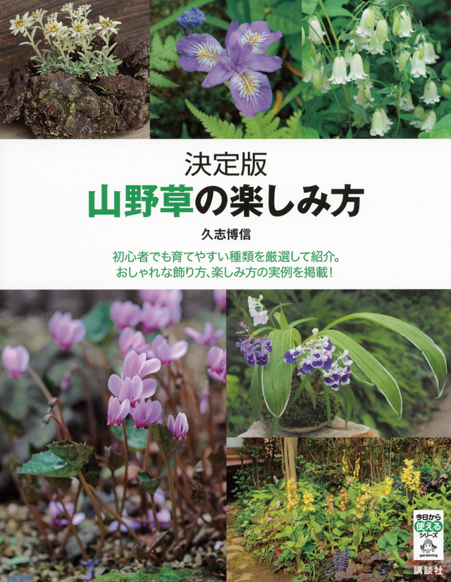 山野草の楽しみ方