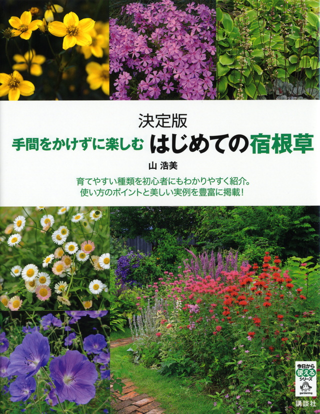 手間をかけずに楽しむ はじめての宿根草