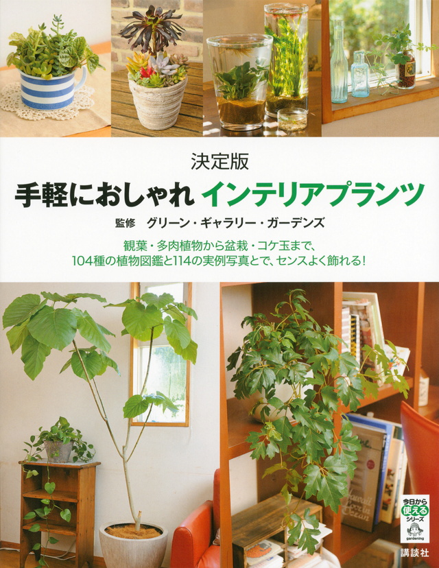 決定版 手軽におしゃれ インテリアプランツ