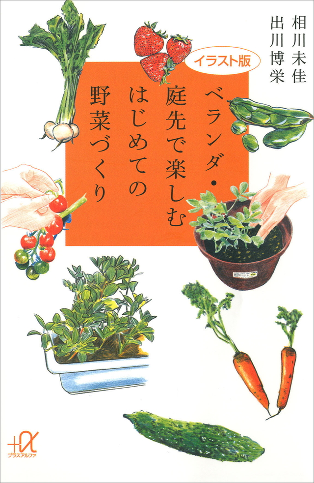 イラスト版 ベランダ・庭先で楽しむはじめての野菜づくり