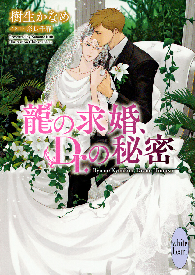 龍の求婚、Dr.の秘密