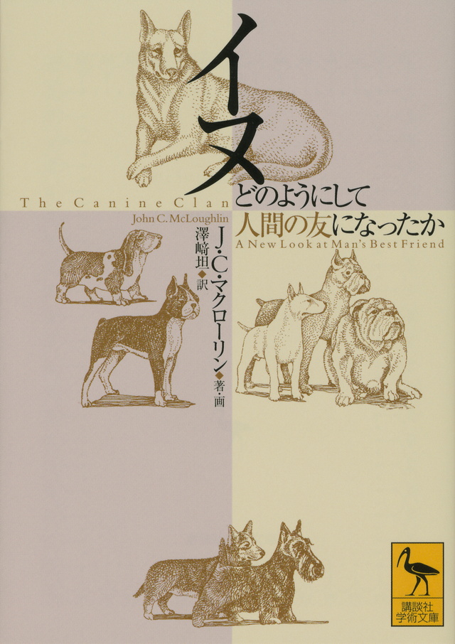 イヌ どのようにして人間の友になったか