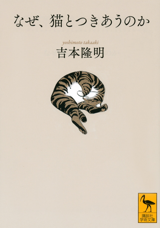 なぜ猫とつきあうのか