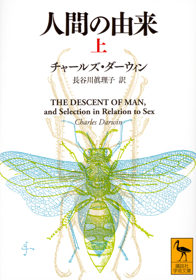 人間の由来(上)