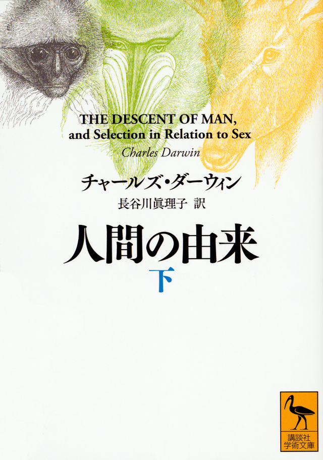 人間の由来(下)