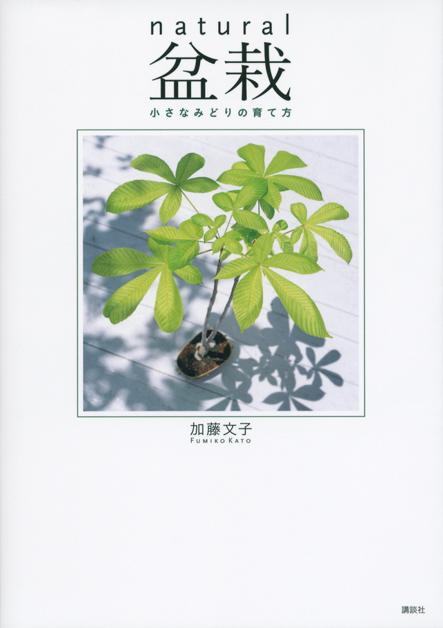 natural盆栽 小さなみどりの育て方